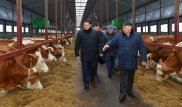 В 2020 году в СКО начнут строительство 10 молочных ферм