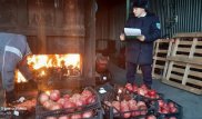 Тонны турецких гранатов сожгли в Нур-Султане
