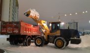 Сколько снега вывезли из Нур-Султана