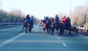 Всадники устроили кокпар на улицах Талдыкоргана