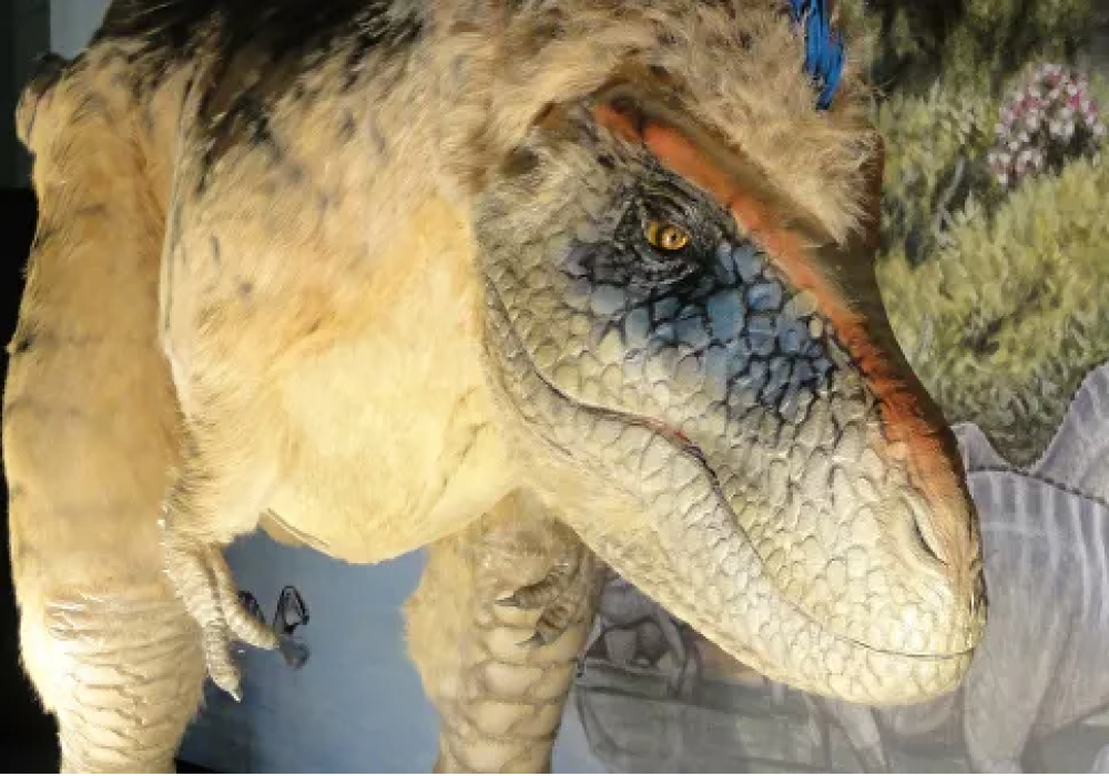 Найдены древнейшие вши, которые мучили динозавров