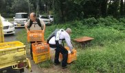 Пожилые японцы начали носить экзоскелеты, чтобы продолжать работать в старости - СМИ