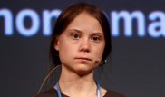Немецкие железные дороги упрекнули Грету Тунберг в утаивании фактов