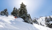 Спортсмены из Кореи выбрали "Шымбулак" местом для тренировок