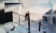В Нур-Султане на глазах у детей убили домашнюю собаку