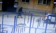 Подозреваемый в изнасиловании 9-летней девочки задержан в Актюбинской области