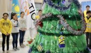 Министерство экологии призывает казахстанцев отказаться от живых елок