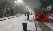 Полметра снега выпало в горах Алматы