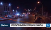 Гибель казахстанца в Канаде: студентов сбил пьяный водитель