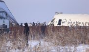 Число погибших при крушении самолета Bek Air достигло 15 человек