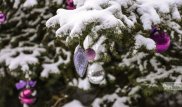 Теплый Новый год ожидает казахстанцев