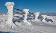 Какая погода ожидает казахстанцев 1 января