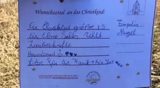 Санта из России: Мужчина поймал шар с желаниями девочки из Австрии и исполнил их