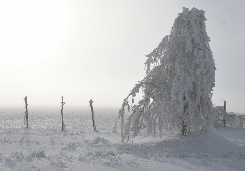 Какая погода ожидает казахстанцев 2 января