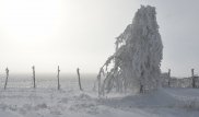 Какая погода ожидает казахстанцев 2 января