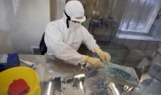 Пневмония неизвестного происхождения выявлена в Китае