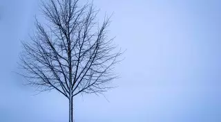 Туман и гололед ожидаются в Казахстане 6 января