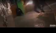 Видео драки со стрельбой прокомментировали в полиции Мангистау