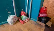 Мусорный пакет за дверью назвали колоссальным явлением