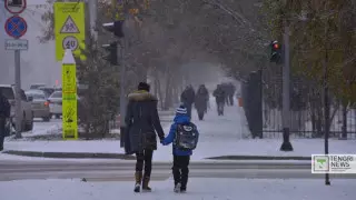 В Нур-Султане и Караганде из-за метели отменили занятия в школах