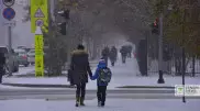 В Нур-Султане и Караганде из-за метели отменили занятия в школах