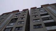 Тополя высадят для борьбы с креном многоэтажки в Алгабасе