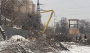 Алматинцы возмущены массовой вырубкой деревьев возле тубдиспансера