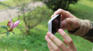 Подробности об iPhone 12 появились в Сети