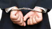 105 сотрудников сферы сельского хозяйства осудили за коррупцию в 2019 году