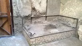 Мозг древнего римлянина превратился в стекло из-за извержения Везувия