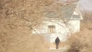 Мальчика-"маугли" нашли в камышах близ Кызылорды