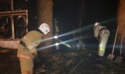 Пожар на птицефабрике в Туркестанской области: погибли 3 тысячи цыплят