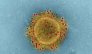 Излечившаяся от коронавируса китаянка рассказала о болезни