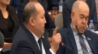 "Ұйықтаған жоқ". Депутаттар желіде қызу талқыланған видео туралы пікір білдірді