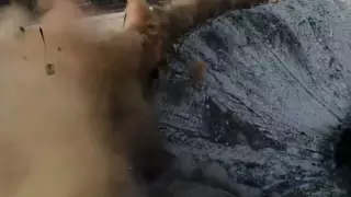 Спорткомплекс рухнул в Санкт-Петербурге: в Сети появилось видео