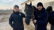 Брат Хабиба Нурмагомедова стал бойцом UFC