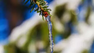 Ледяной дождь и метель ожидаются в Казахстане