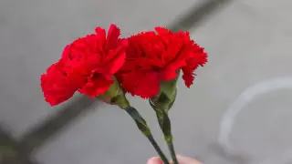 Умер племянник первого президента Кыргызстана Аскара Акаева