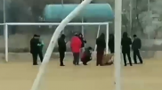 "Собачьи бои" сняли на видео в Актау