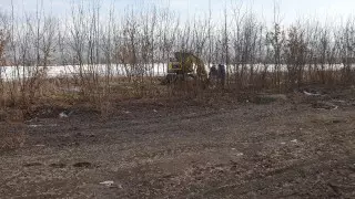 Деревья вырубили из-за строительства нового ТРЦ в Алматы