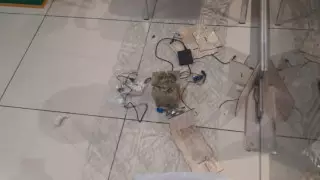 Муляж бомбы в алматинском ТЦ: задержан подозреваемый