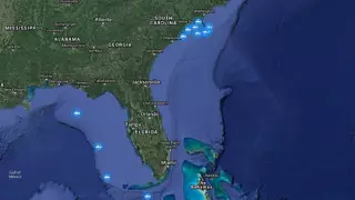 Загадочное скопление акул-людоедов замечено у пляжей в США