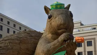 Алматинскую белку перенесут