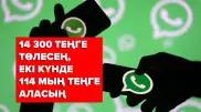 "14 300 теңге беріп, 114 мың теңге аласың". Заңгер алаяқтықтың жаңа түрін айтып берді