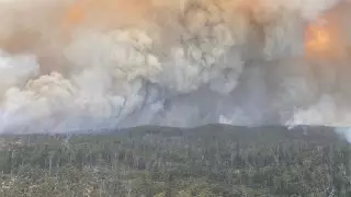 Пожары в Австралии вредят всей планете - экологи