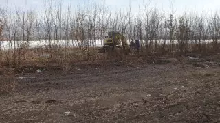 Вырубку деревьев прокомментировал совладелец ТРЦ в Алматы