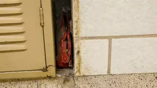 Женская сумочка из 1950-х оказалась настоящей капсулой времени