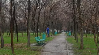 Сагинтаев: акимат торгуется с владельцем спорного участка