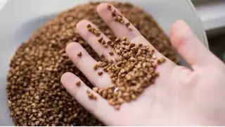 Диетолог расписал уникальные свойства гречки