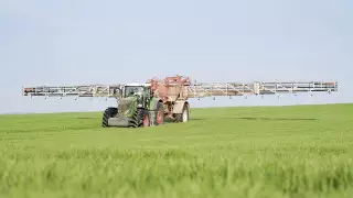 Огромные деньги на борьбу с вредителями дают минимальный эффект - Минсельхоз